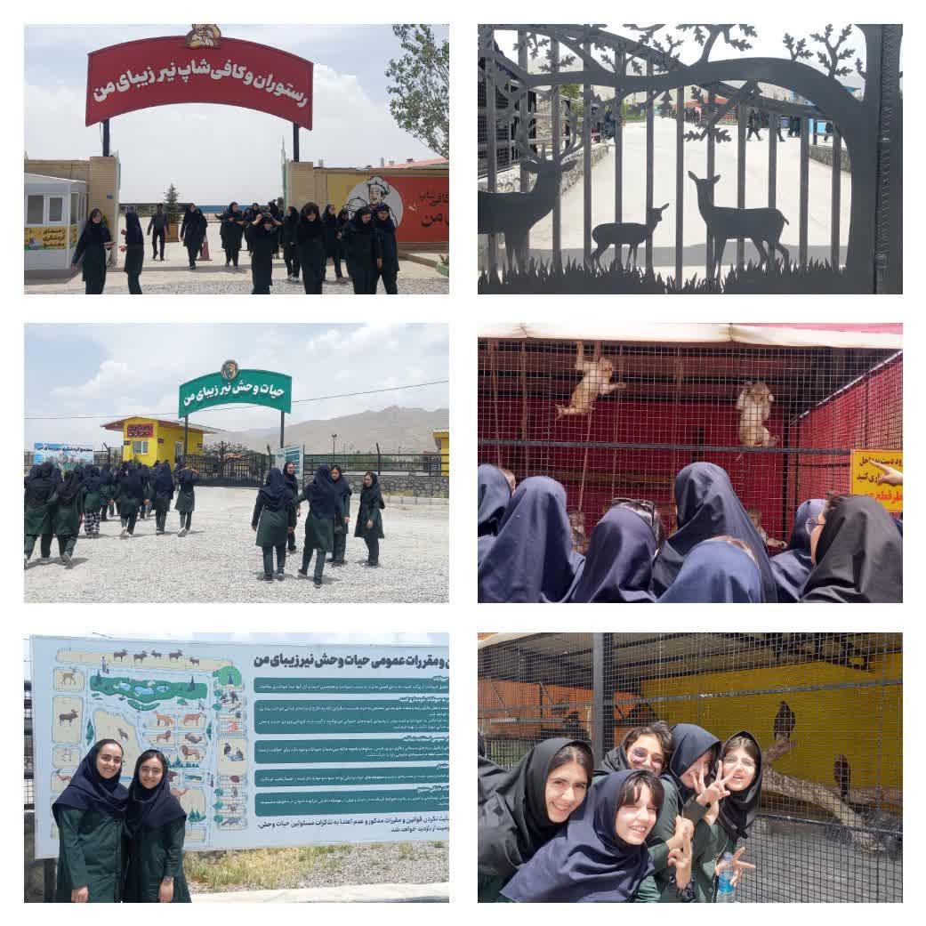 اردوی نیر زیبای من