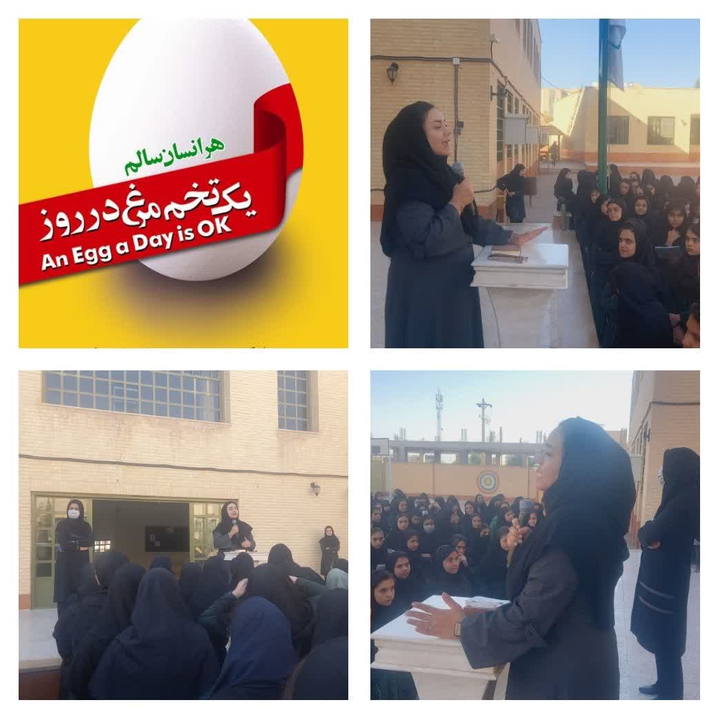 روز جهانی تخم مرغ